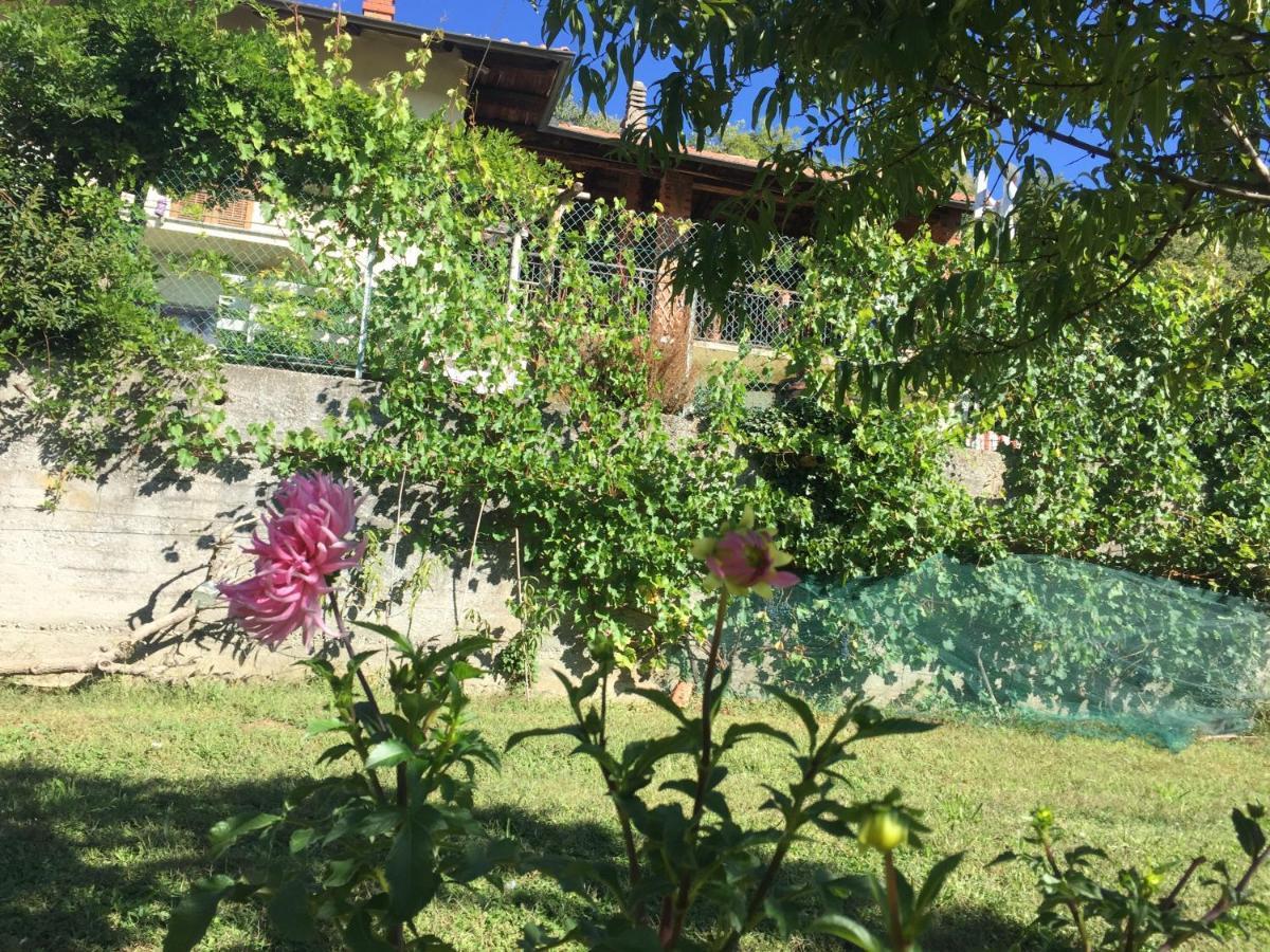Oca Carolina Bed & Breakfast Buttigliera Alta Exterior foto
