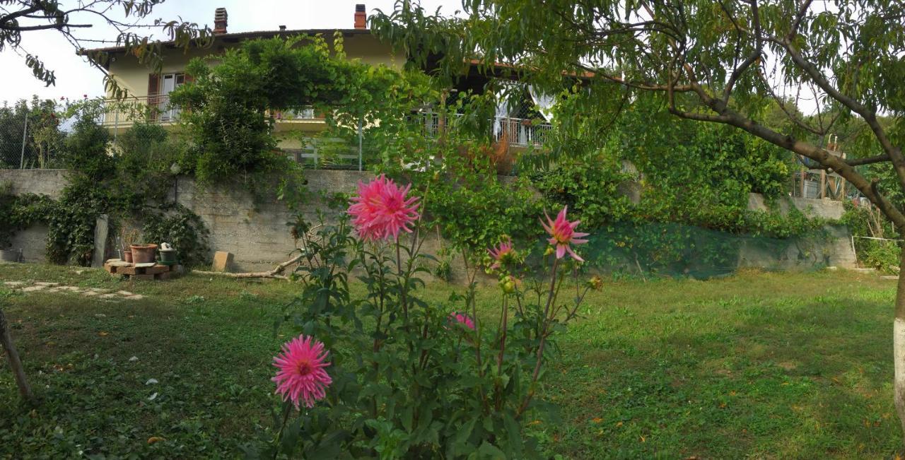 Oca Carolina Bed & Breakfast Buttigliera Alta Exterior foto