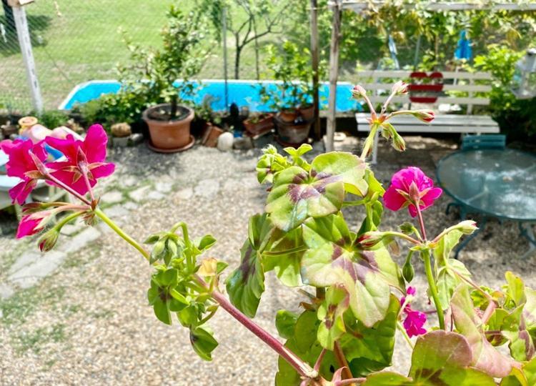 Oca Carolina Bed & Breakfast Buttigliera Alta Exterior foto