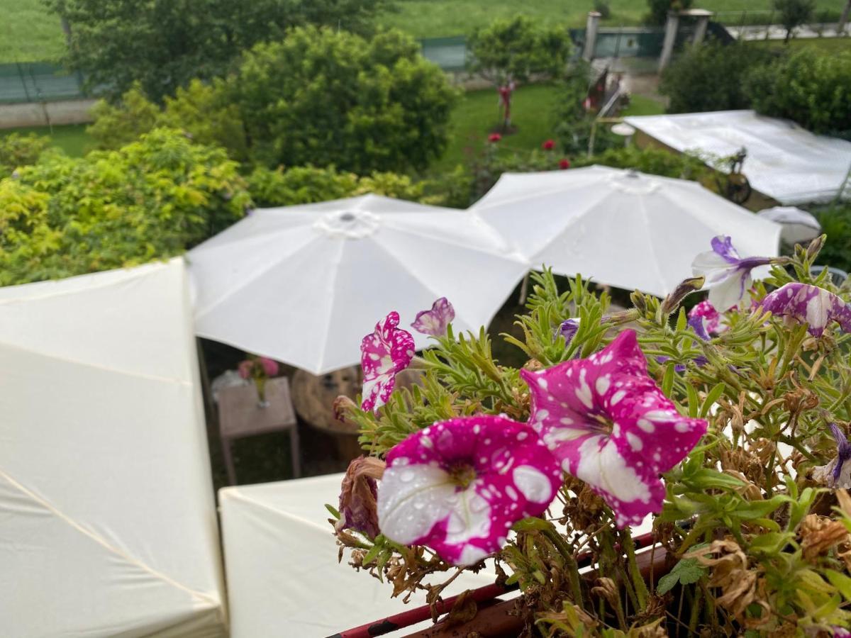 Oca Carolina Bed & Breakfast Buttigliera Alta Exterior foto